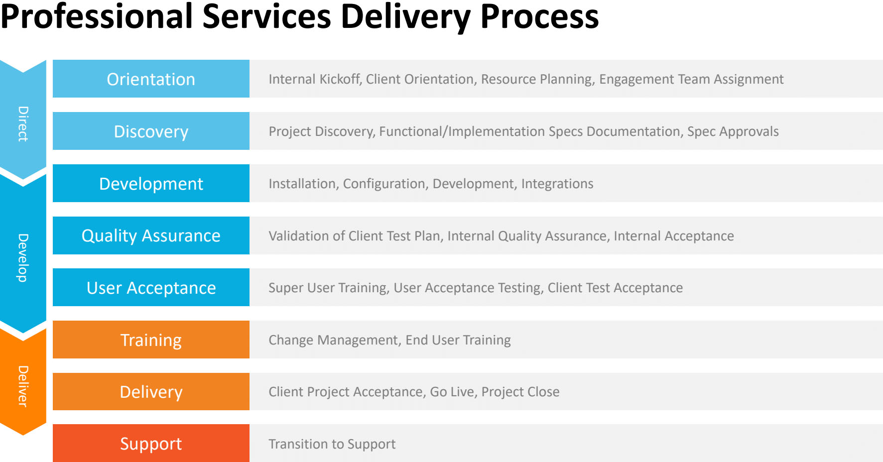 Graphic depicting the professional services delivery process